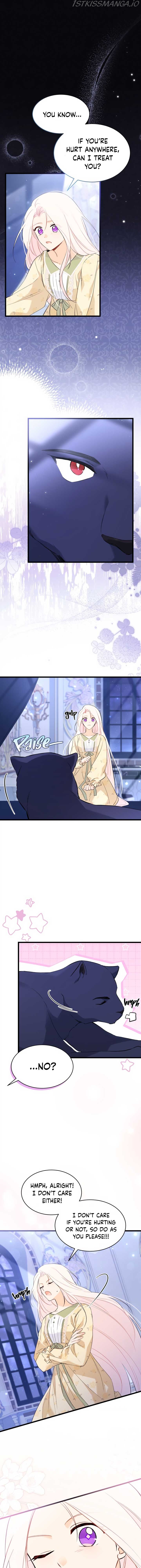 Read The Symbiotic Relationship Between the Rabbit and the Black Panther Manga Online