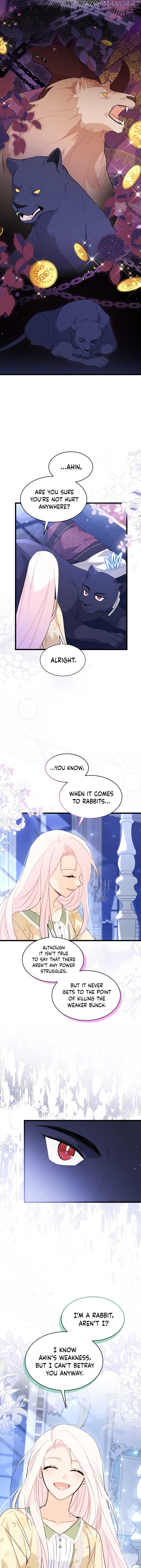 Read The Symbiotic Relationship Between the Rabbit and the Black Panther Manga Online