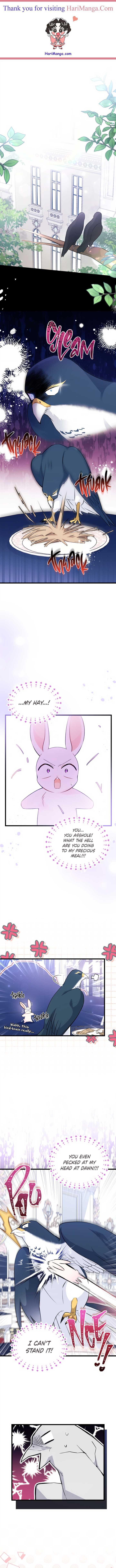 Read The Symbiotic Relationship Between the Rabbit and the Black Panther Manga Online