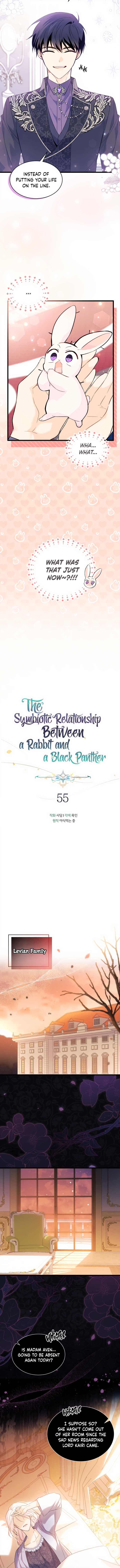 Read The Symbiotic Relationship Between the Rabbit and the Black Panther Manga Online