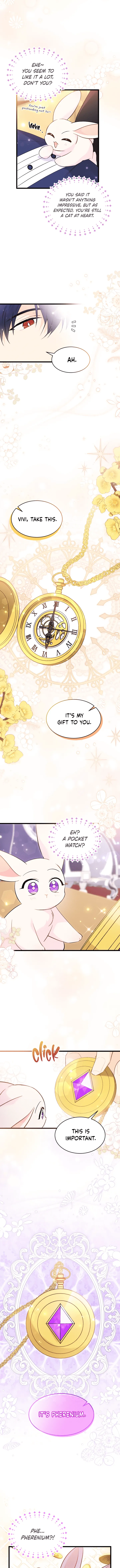 Read The Symbiotic Relationship Between the Rabbit and the Black Panther Manga Online