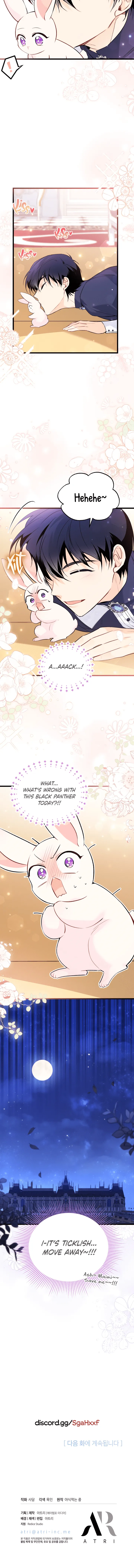 Read The Symbiotic Relationship Between the Rabbit and the Black Panther Manga Online