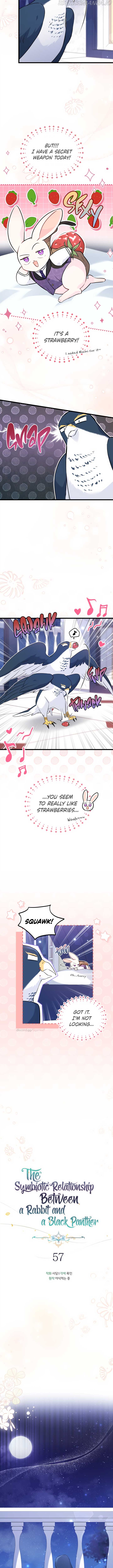 Read The Symbiotic Relationship Between the Rabbit and the Black Panther Manga Online