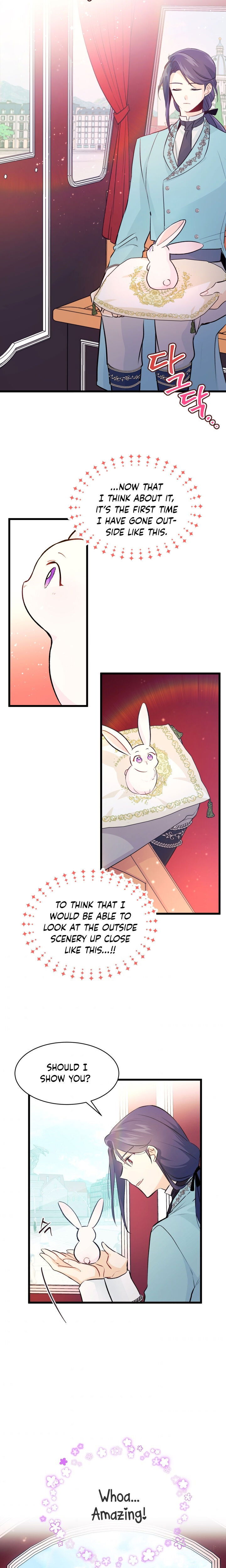 Read The Symbiotic Relationship Between the Rabbit and the Black Panther Manga Online