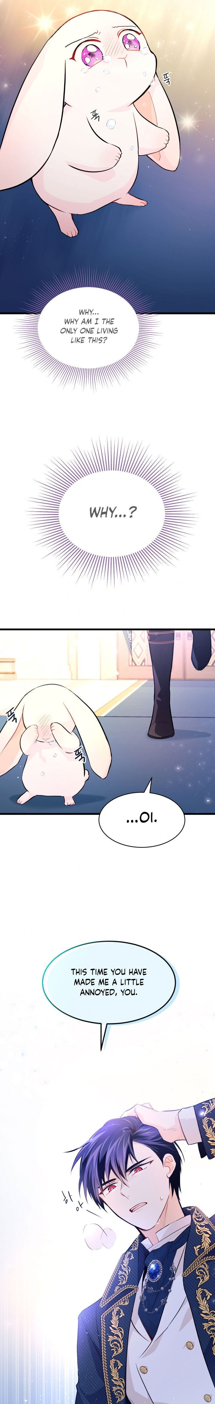 Read The Symbiotic Relationship Between the Rabbit and the Black Panther Manga Online