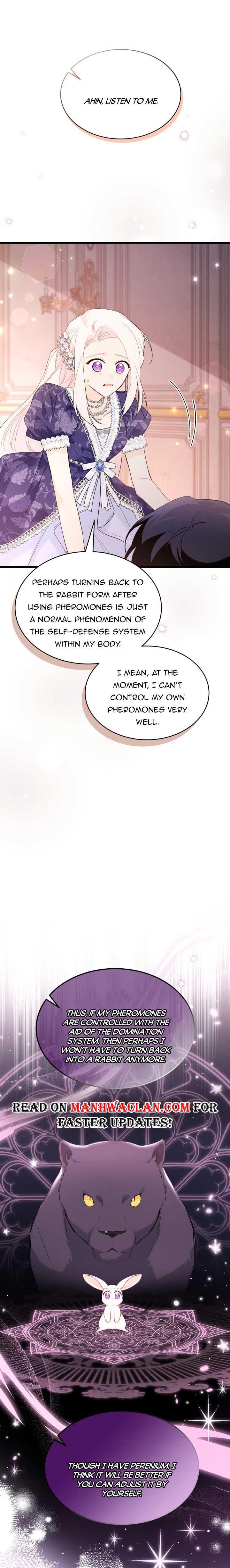 Read The Symbiotic Relationship Between the Rabbit and the Black Panther Manga Online