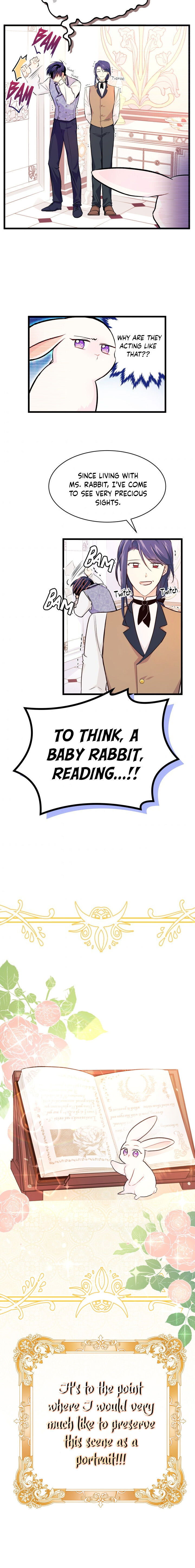 Read The Symbiotic Relationship Between the Rabbit and the Black Panther Manga Online