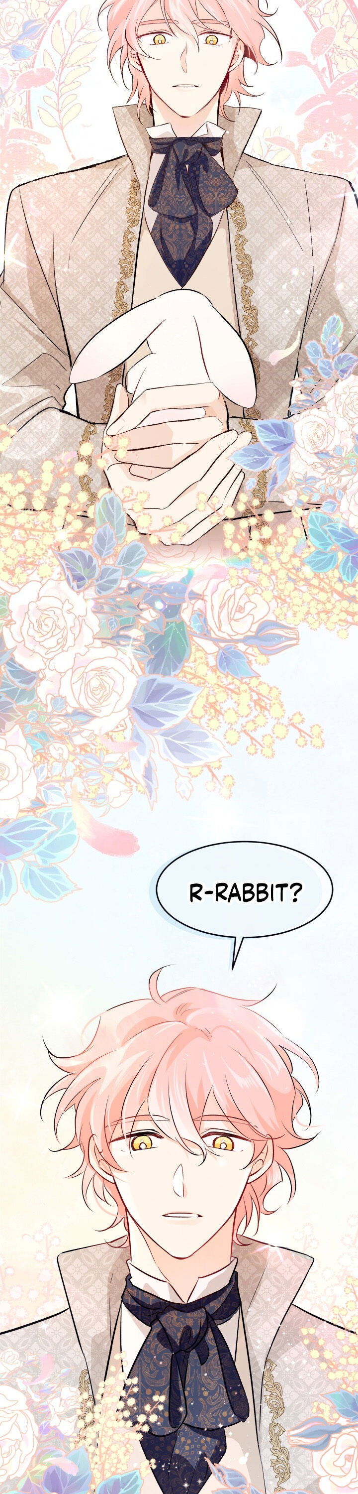Read The Symbiotic Relationship Between the Rabbit and the Black Panther Manga Online