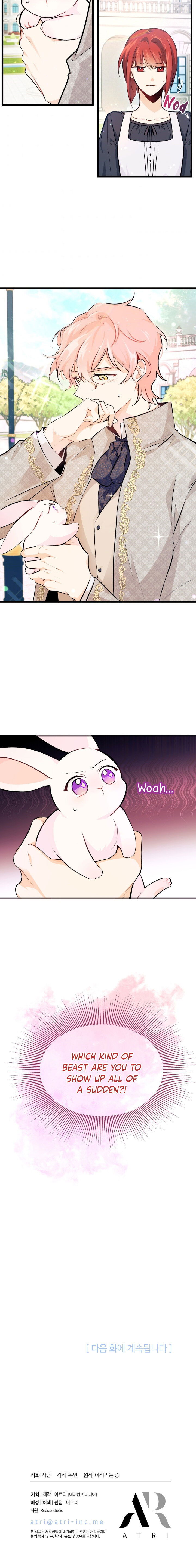 Read The Symbiotic Relationship Between the Rabbit and the Black Panther Manga Online
