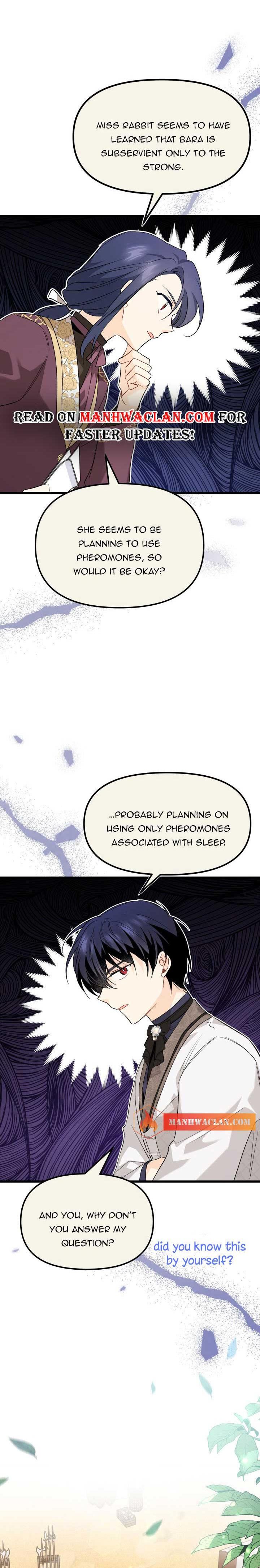 Read The Symbiotic Relationship Between the Rabbit and the Black Panther Manga Online