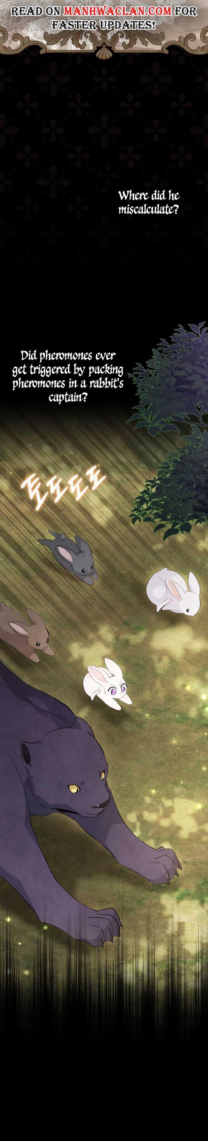 Read The Symbiotic Relationship Between the Rabbit and the Black Panther Manga Online