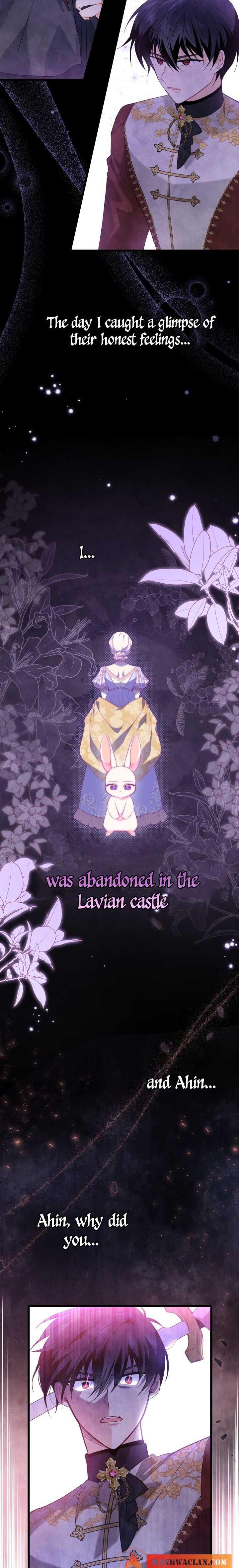 Read The Symbiotic Relationship Between the Rabbit and the Black Panther Manga Online
