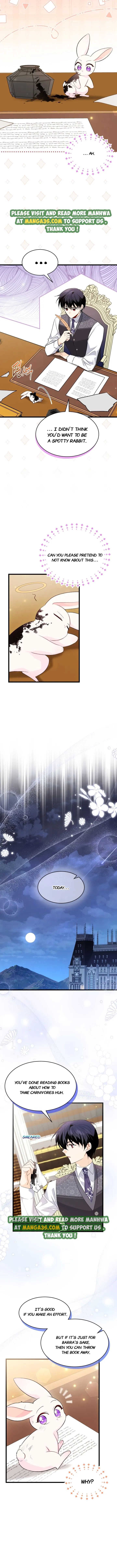 Read The Symbiotic Relationship Between the Rabbit and the Black Panther Manga Online