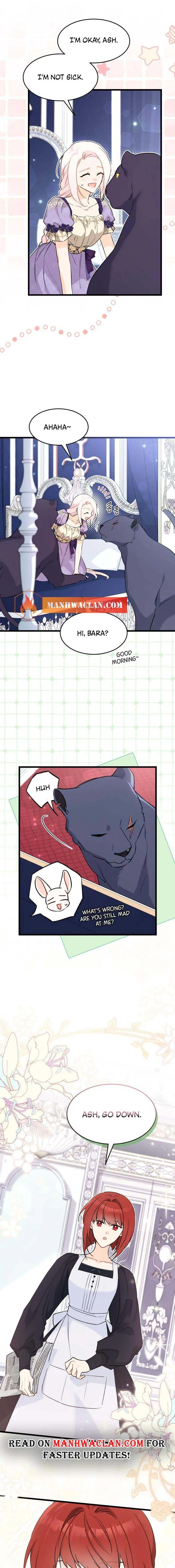 Read The Symbiotic Relationship Between the Rabbit and the Black Panther Manga Online