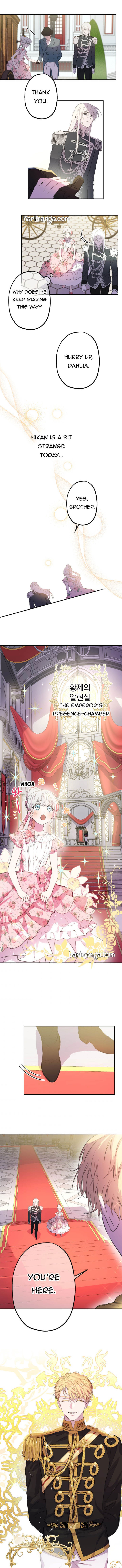 Read The most poweful characters in the world are crazy about me Manga Online