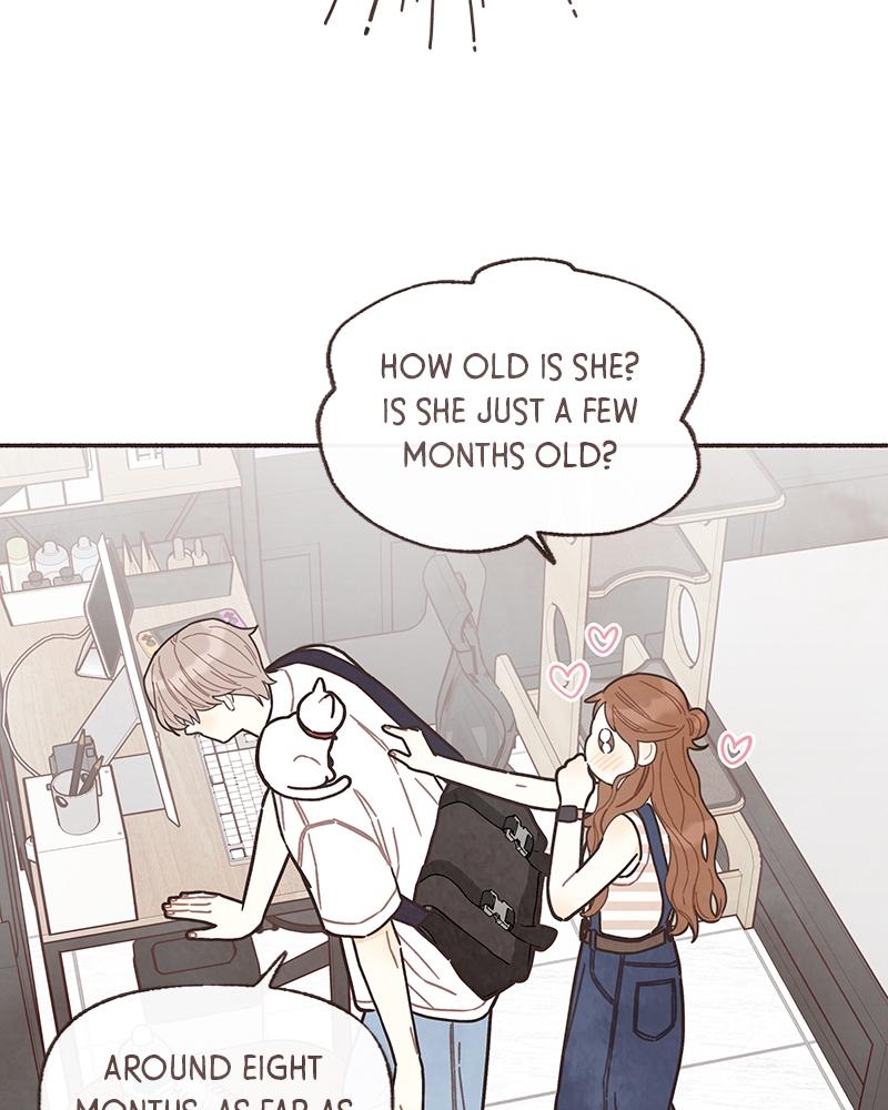 Read Transference Manga Online