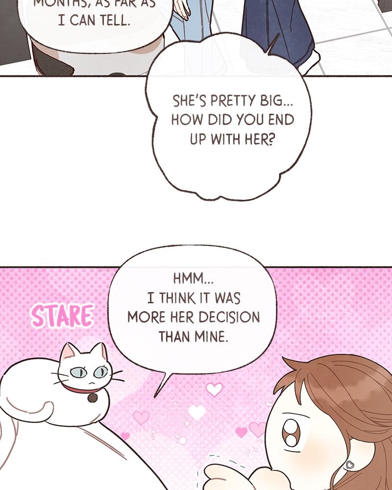 Read Transference Manga Online
