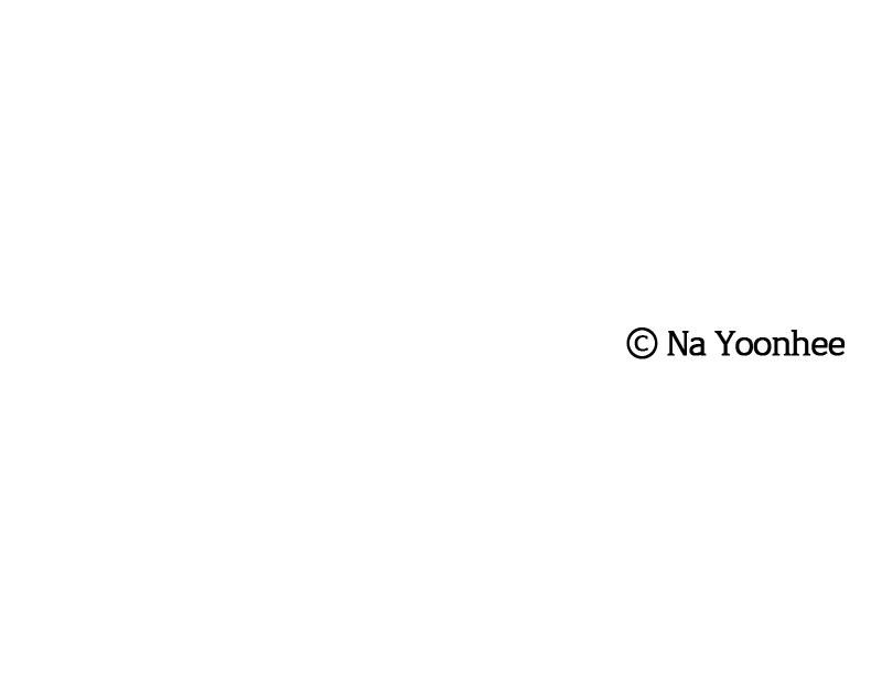Read Whale Star The Gyeongseong Mermaid Manga Online