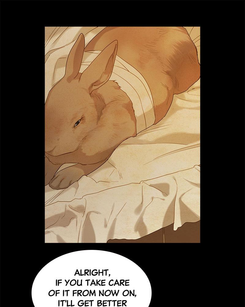 Read Whale Star The Gyeongseong Mermaid Manga Online
