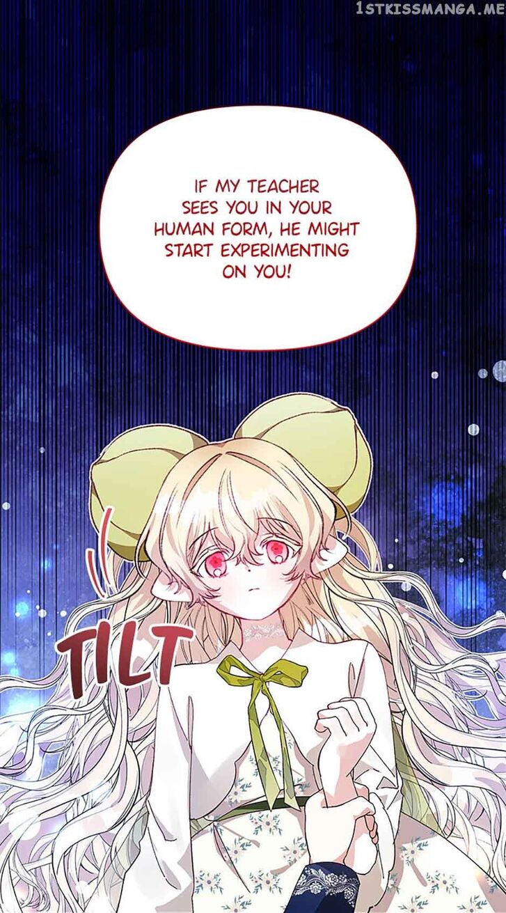 Read Who Made Me a Princess Manga Online