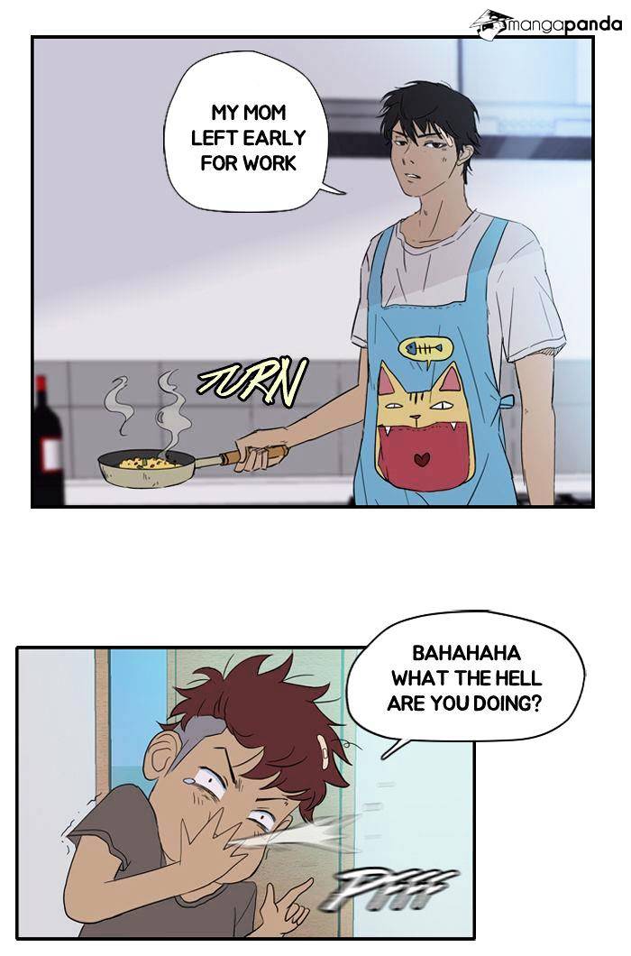 Read Wind Breaker Manga Online