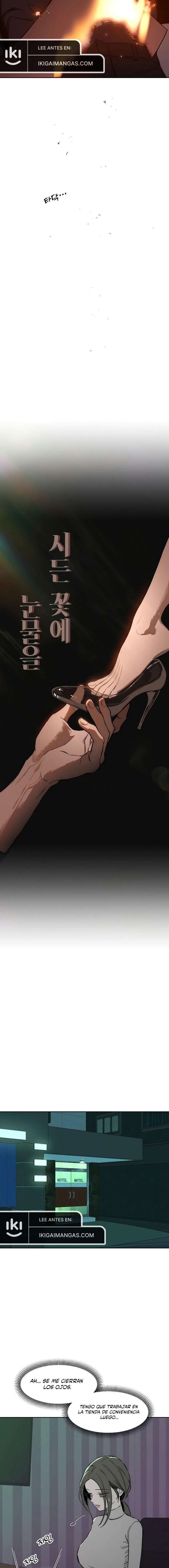Read Lágrimas en una flor marchita Manga Online