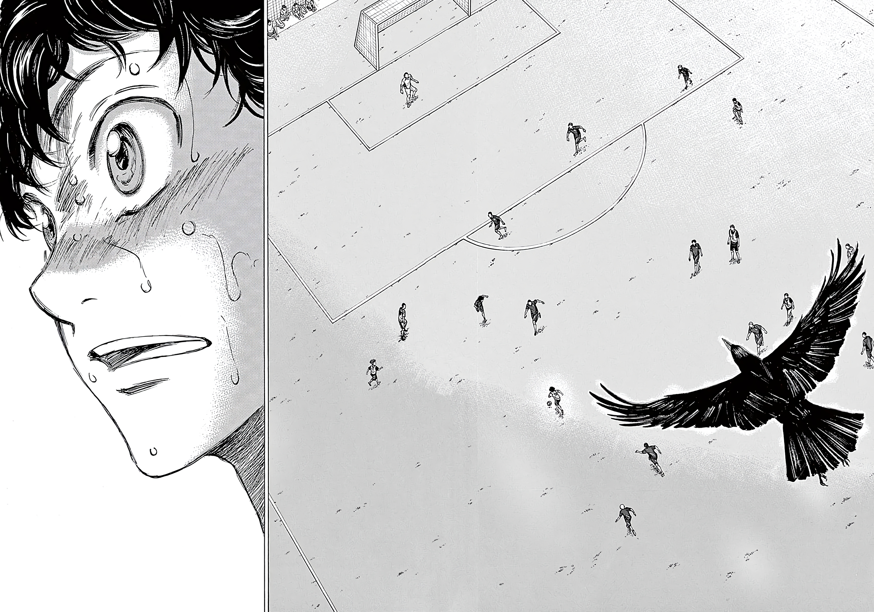 Read Ao Ashi FR Manga Online