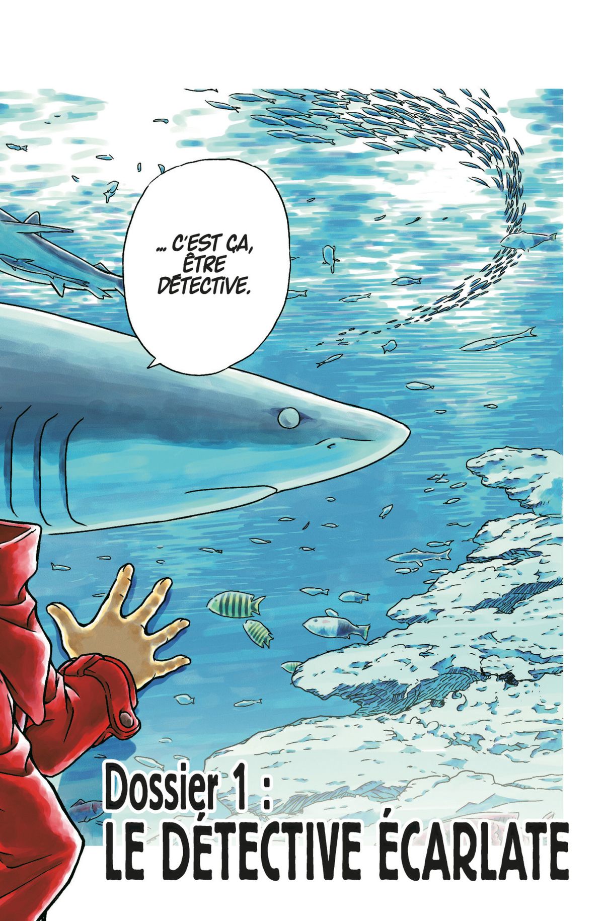 Read Détective Conan Manga Online