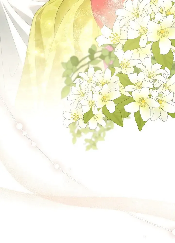 Read Elissa's Whirlwind Marriage FR Manga Online