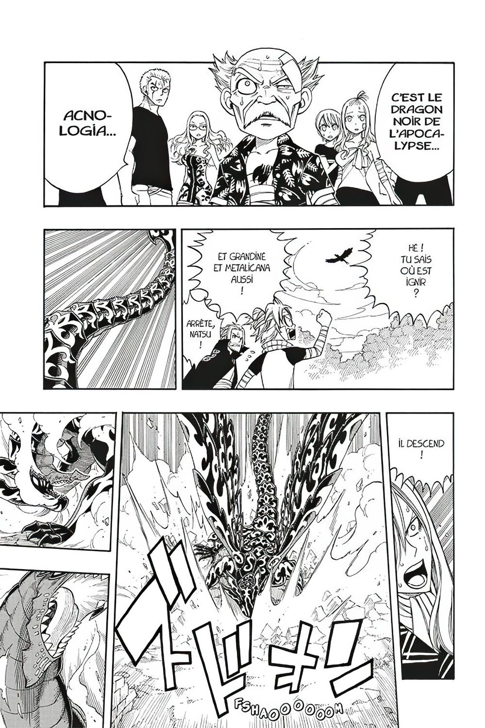 Read Fairy Tail FR Manga Online