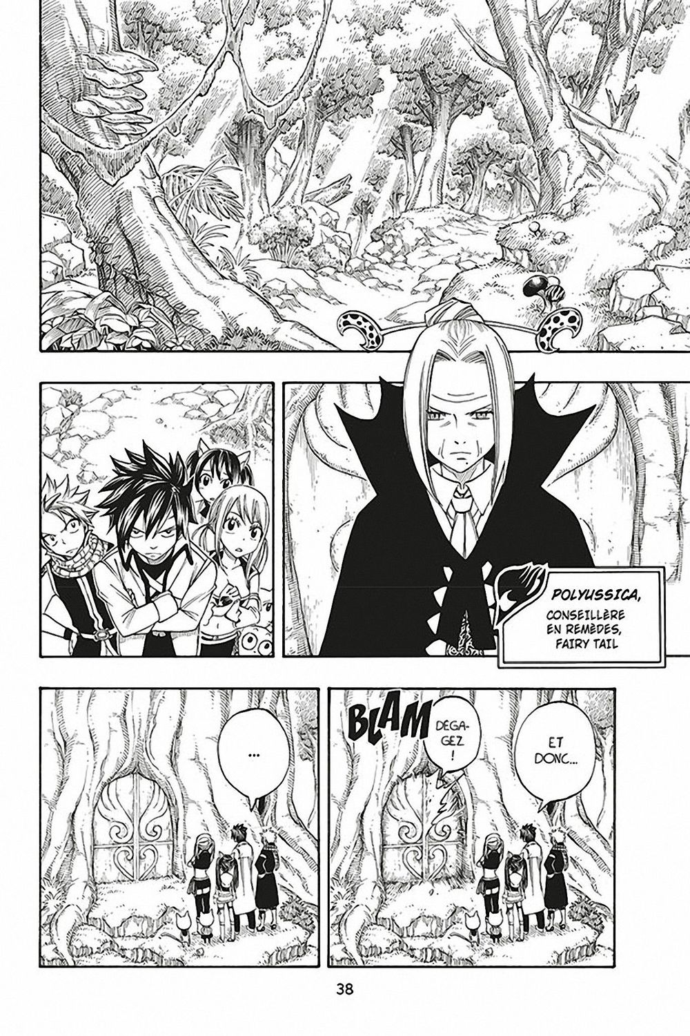 Read Fairy Tail FR Manga Online