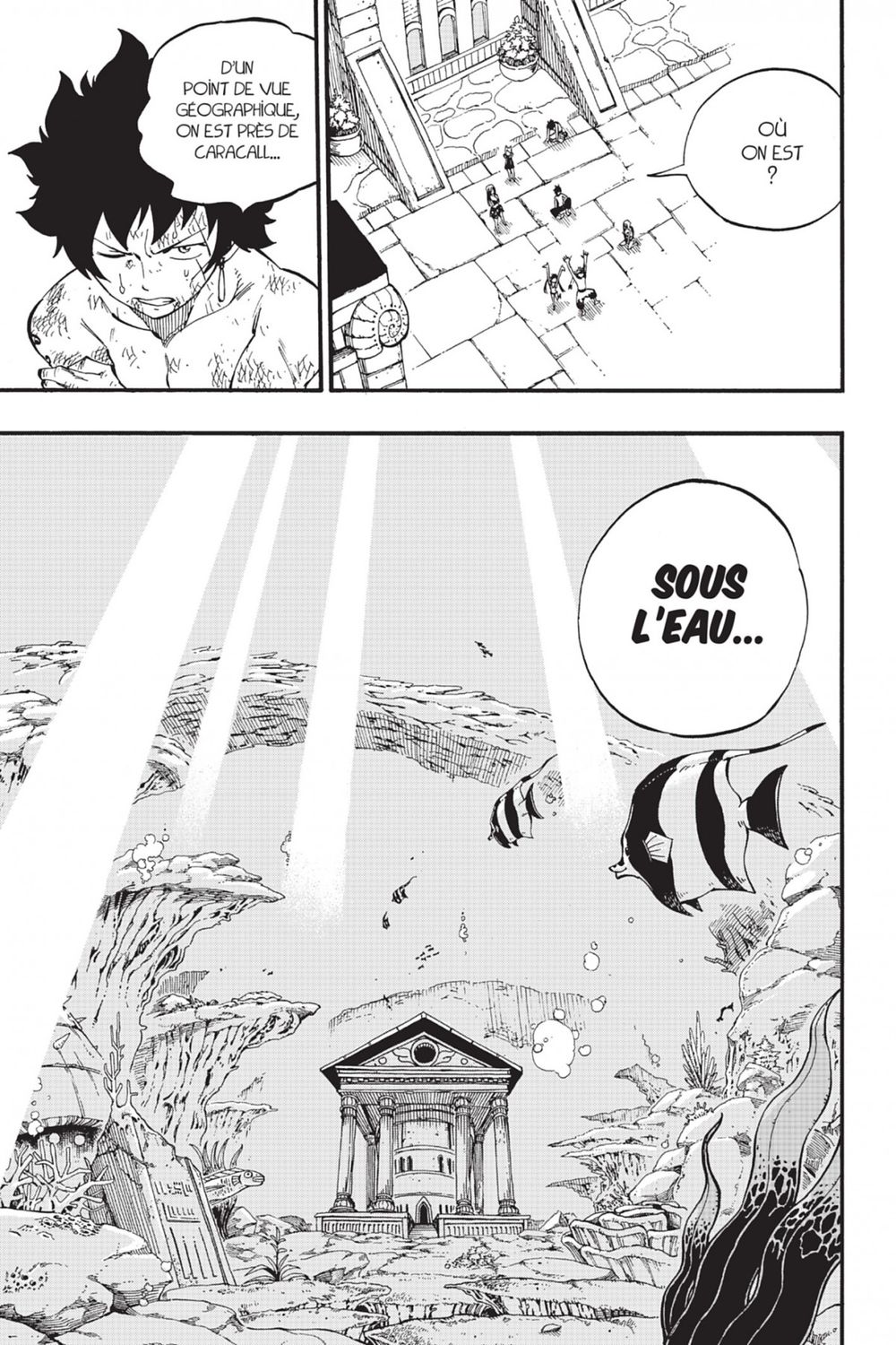 Read Fairy Tail FR Manga Online