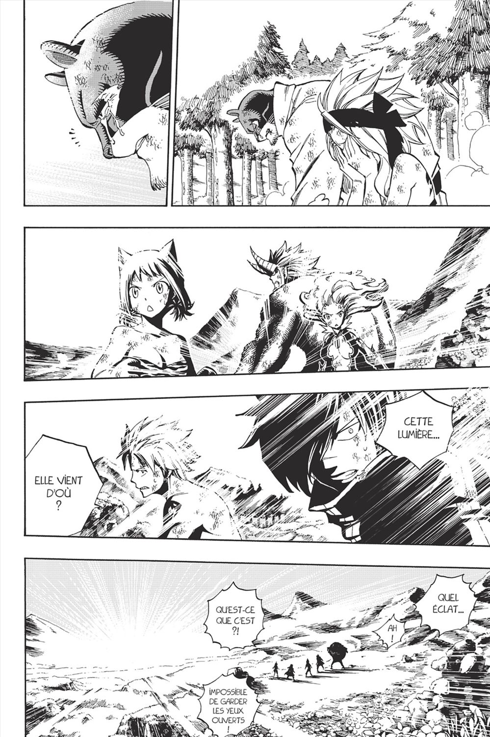 Read Fairy Tail FR Manga Online
