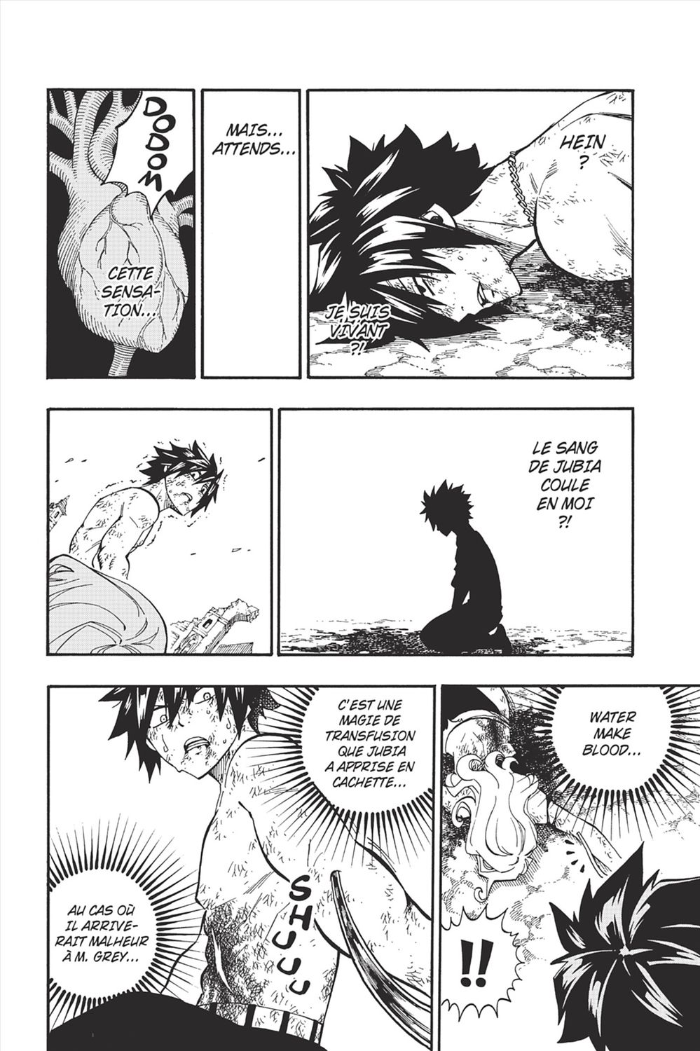 Read Fairy Tail FR Manga Online