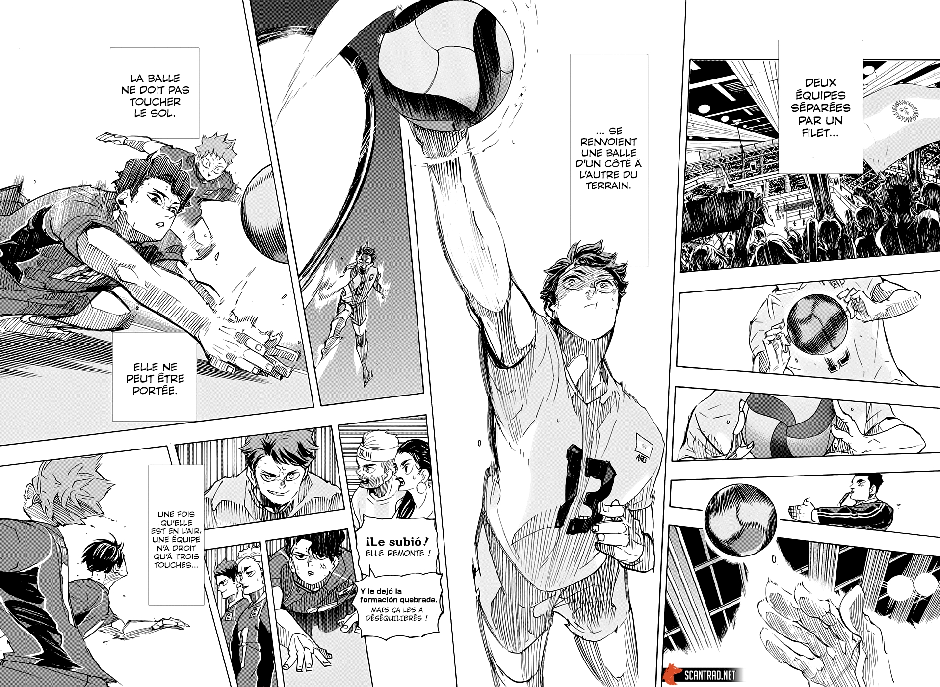 Read Haikyu FR Manga Online