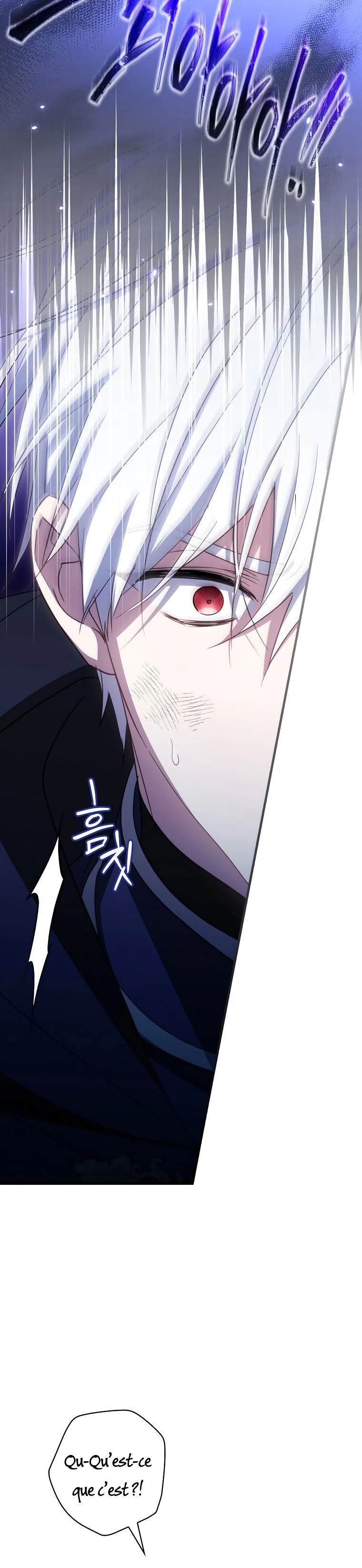 Read How to Get My Husband on My Side FR Manga Online