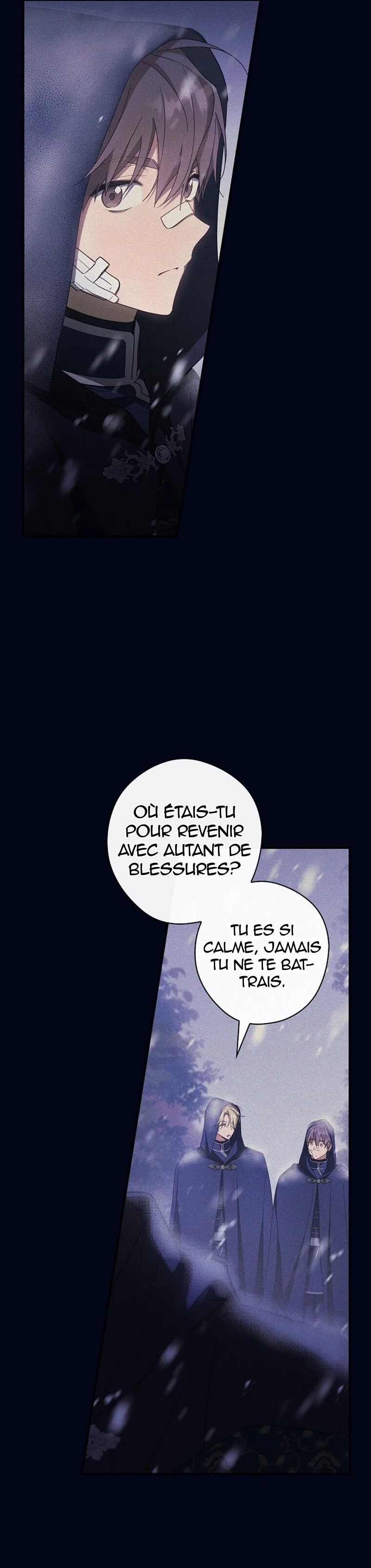 Read How to Get My Husband on My Side FR Manga Online