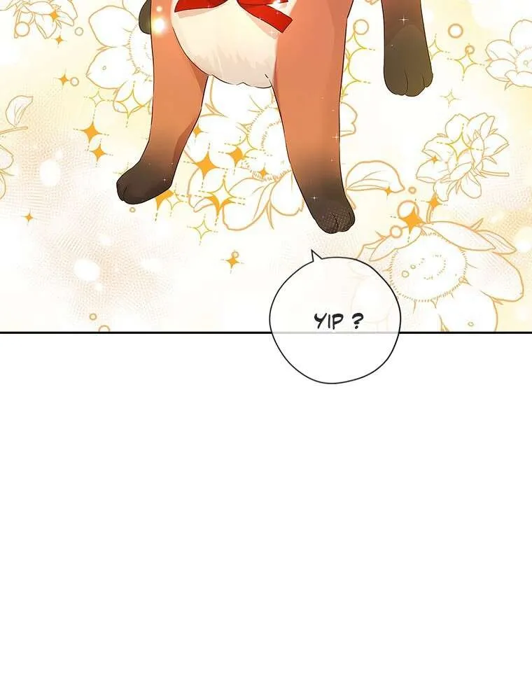 Read I Am The Real One FR Manga Online