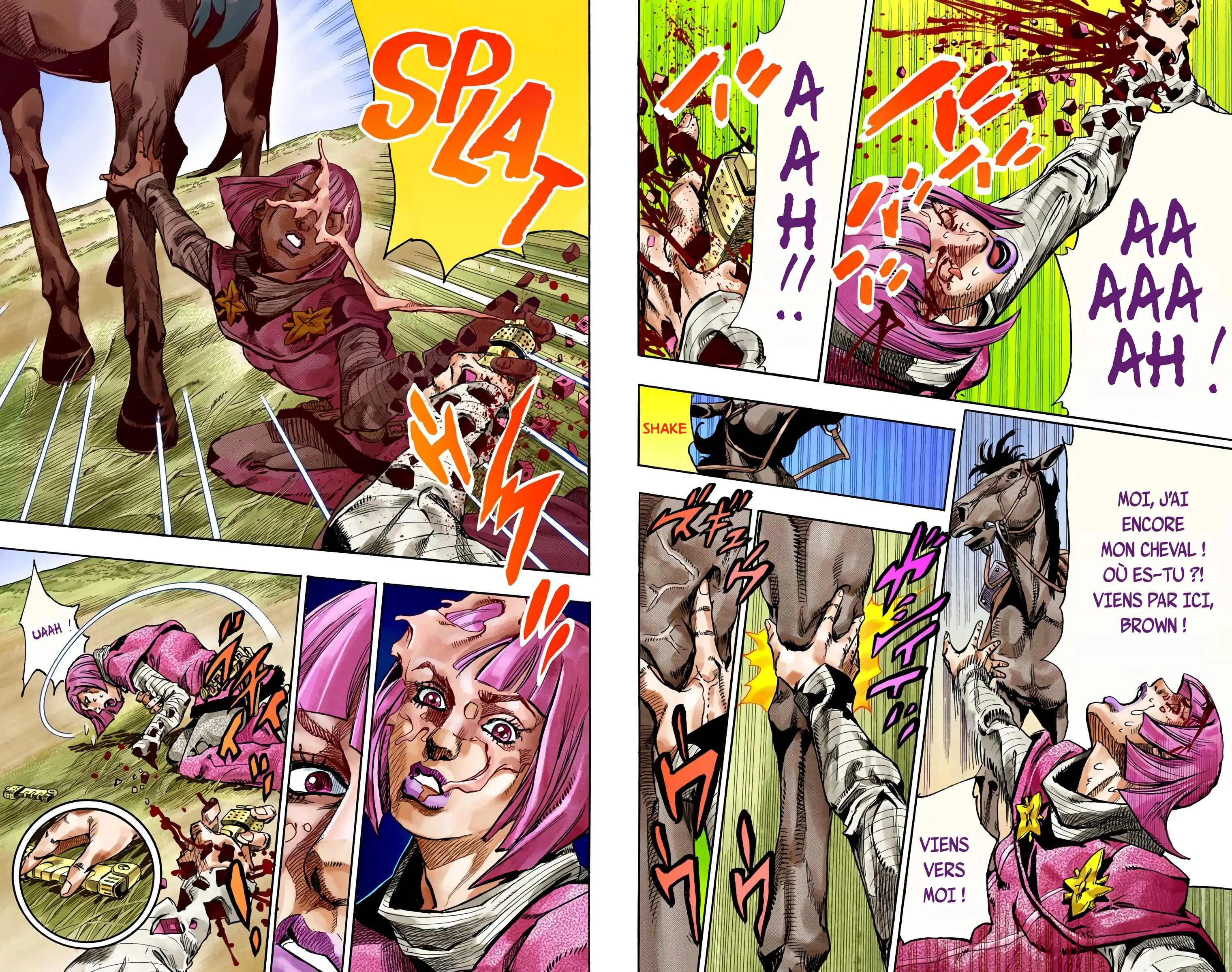 Read JoJo’s Bizarre Adventure Steel Ball Run FR Manga Online