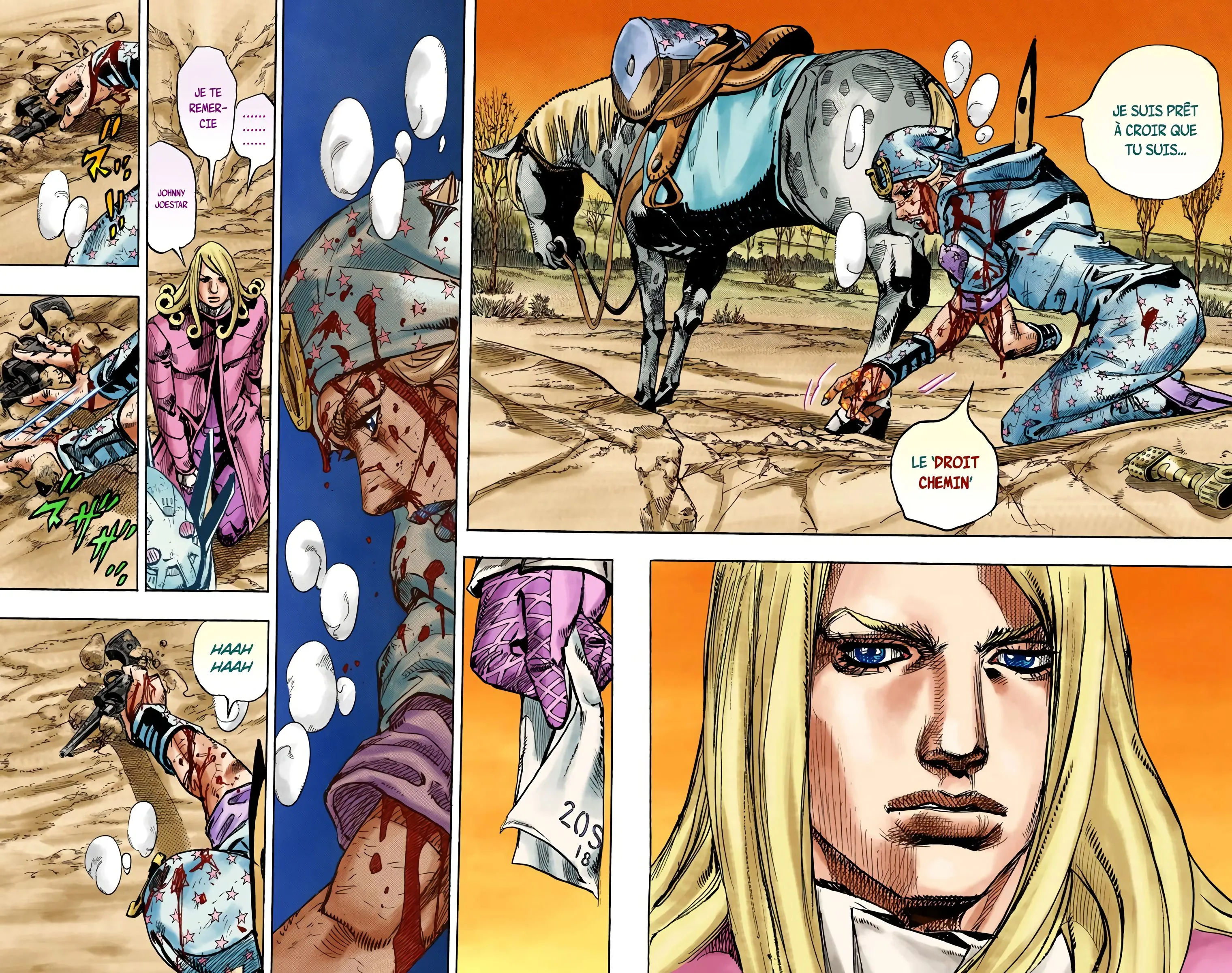 Read JoJo’s Bizarre Adventure Steel Ball Run FR Manga Online