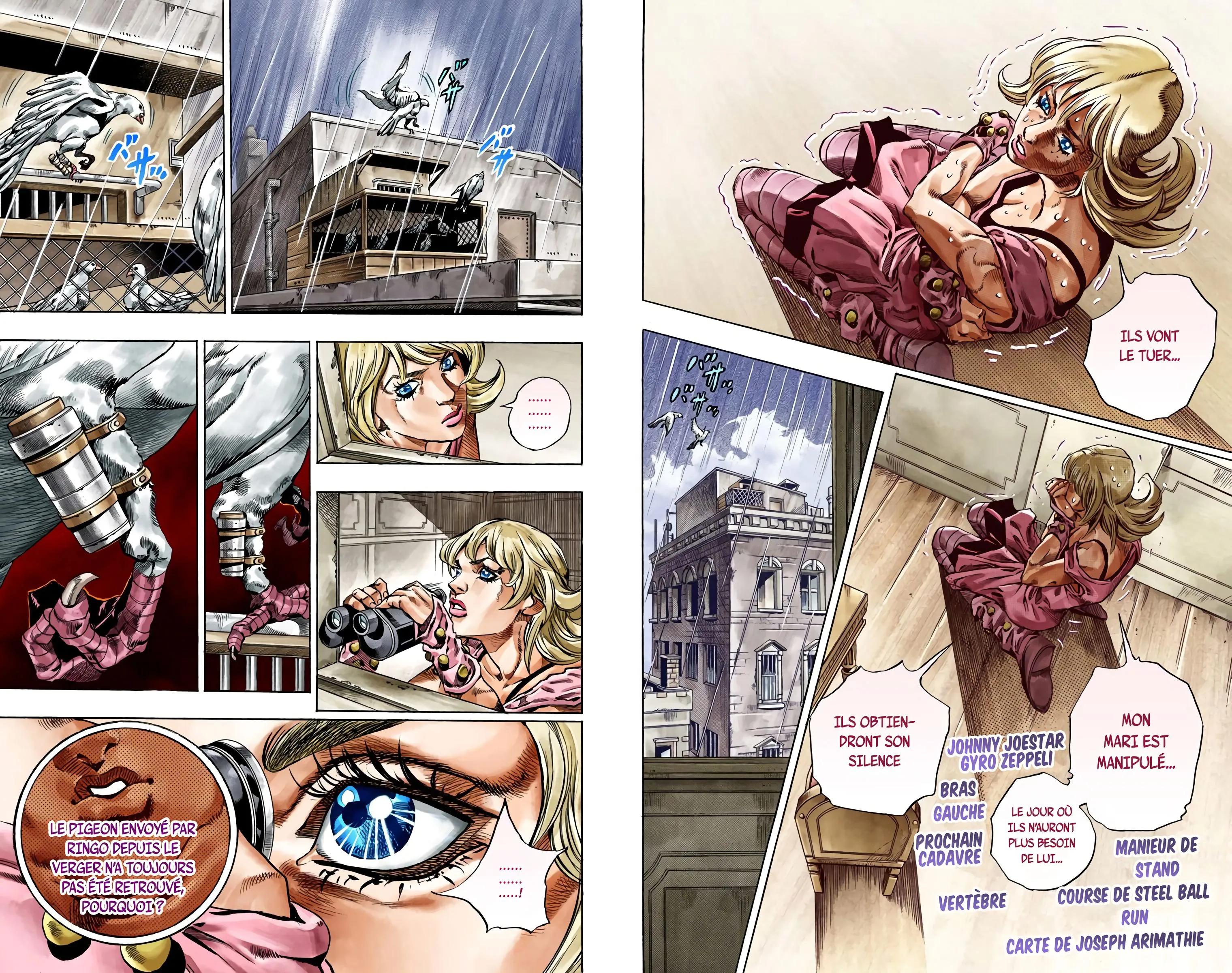 Read JoJo’s Bizarre Adventure Steel Ball Run FR Manga Online