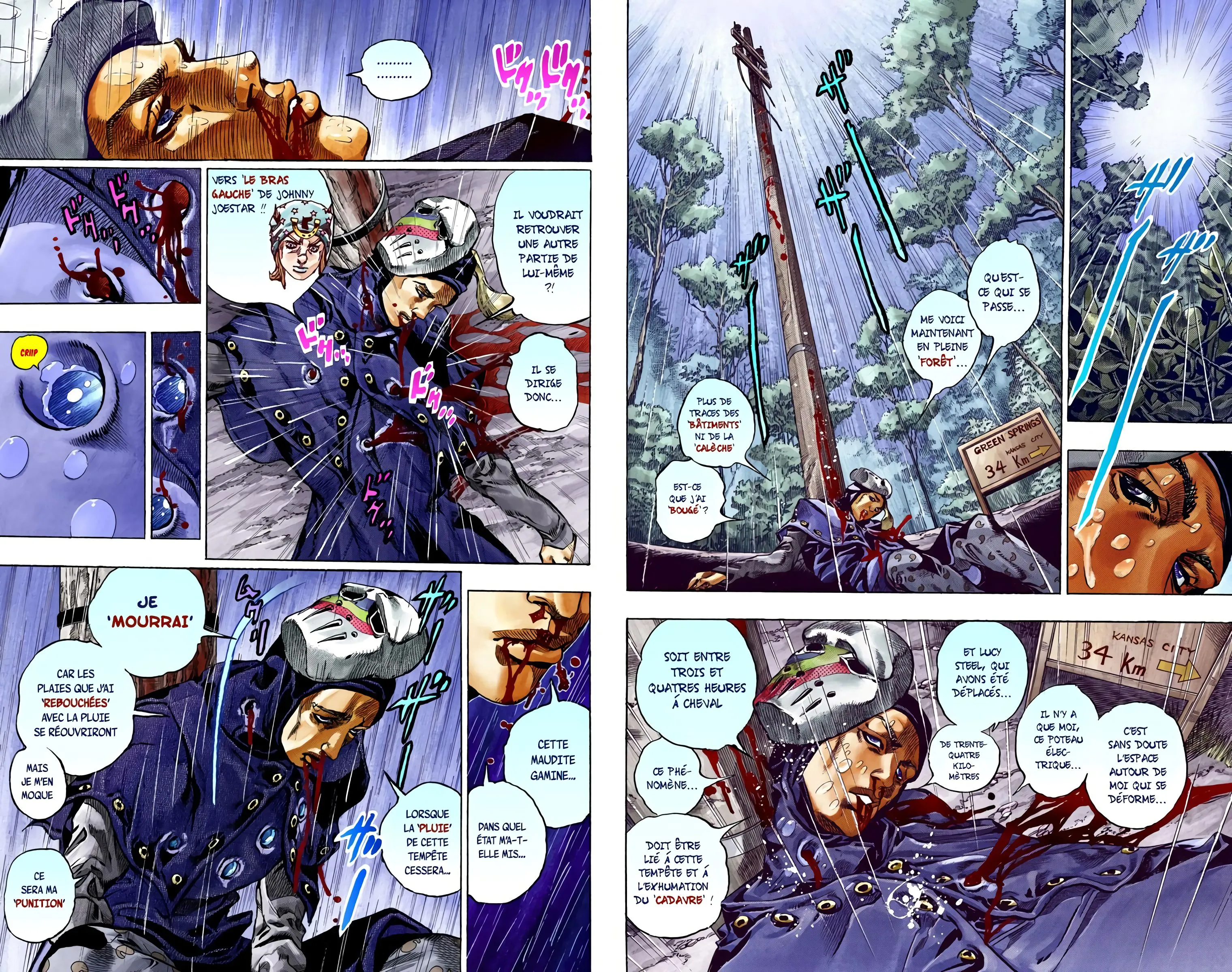 Read JoJo’s Bizarre Adventure Steel Ball Run FR Manga Online