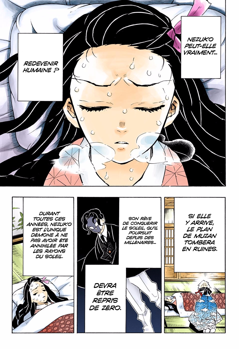 Read Kimetsu No Yaiba FR Manga Online