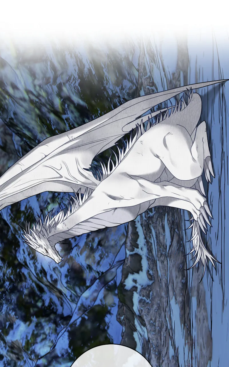 Read La lune de miel de la sorcière et du dragon Manga Online