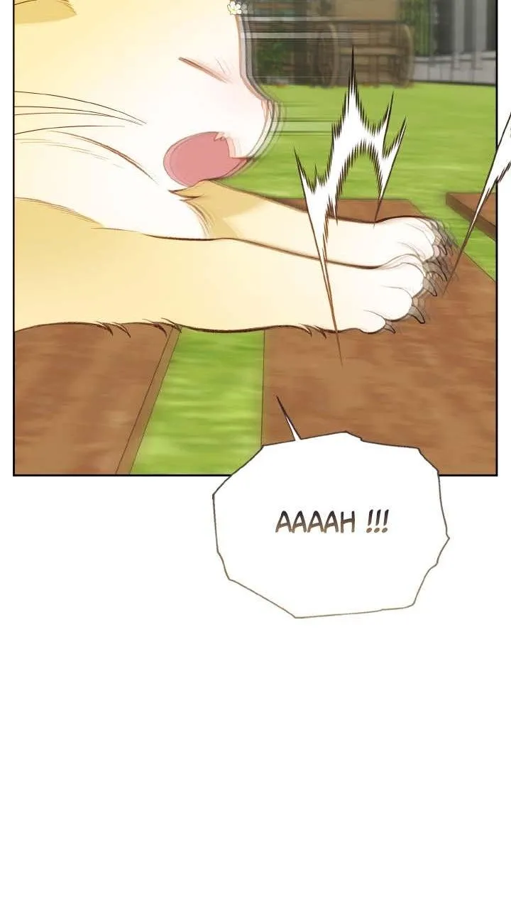 Read Le Bébé Tyran Manga Online