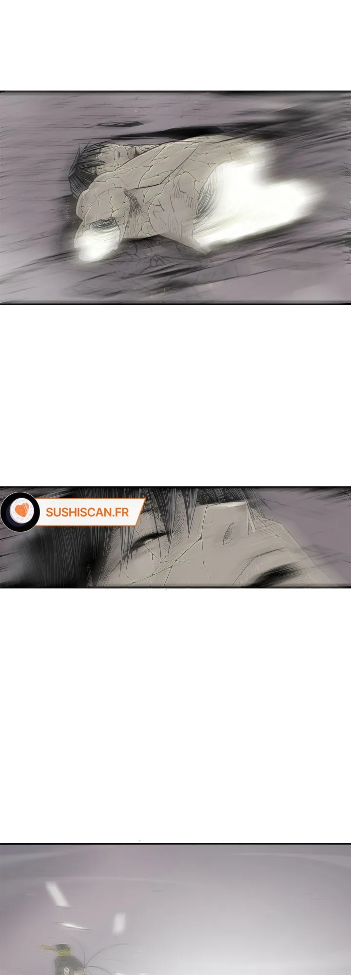 Read Legend of the Northern Blade FR Manga Online