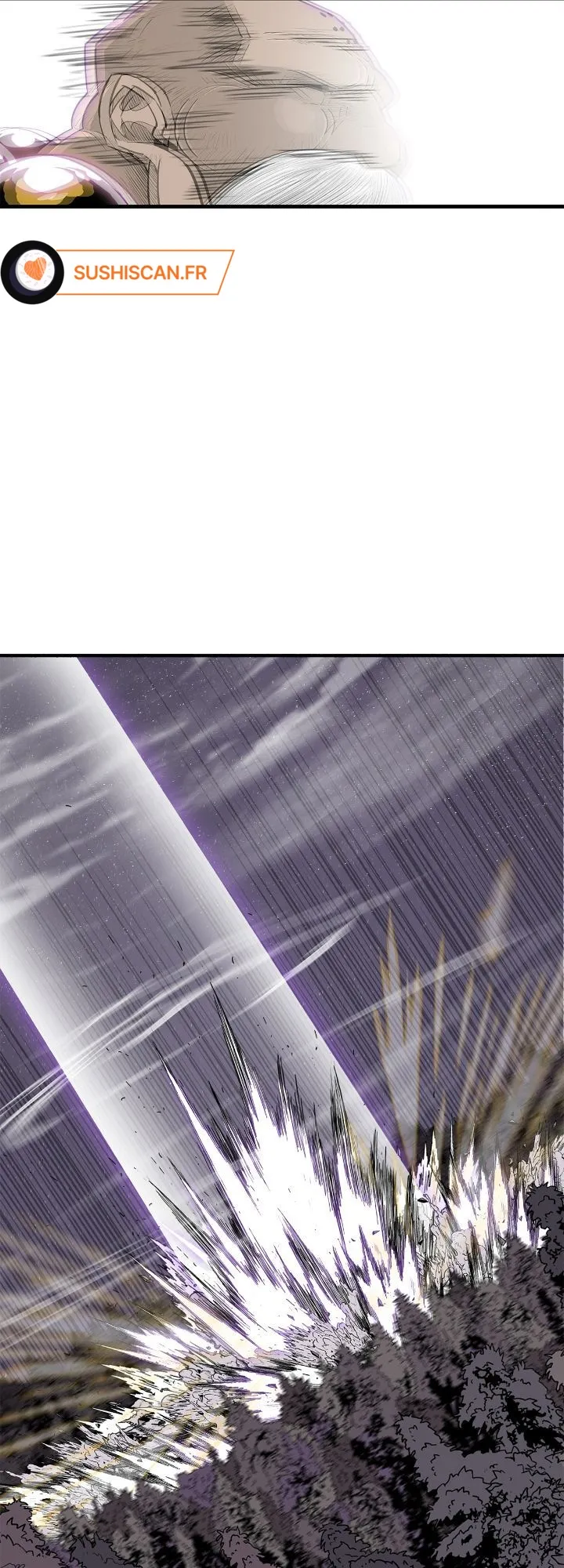 Read Legend of the Northern Blade FR Manga Online