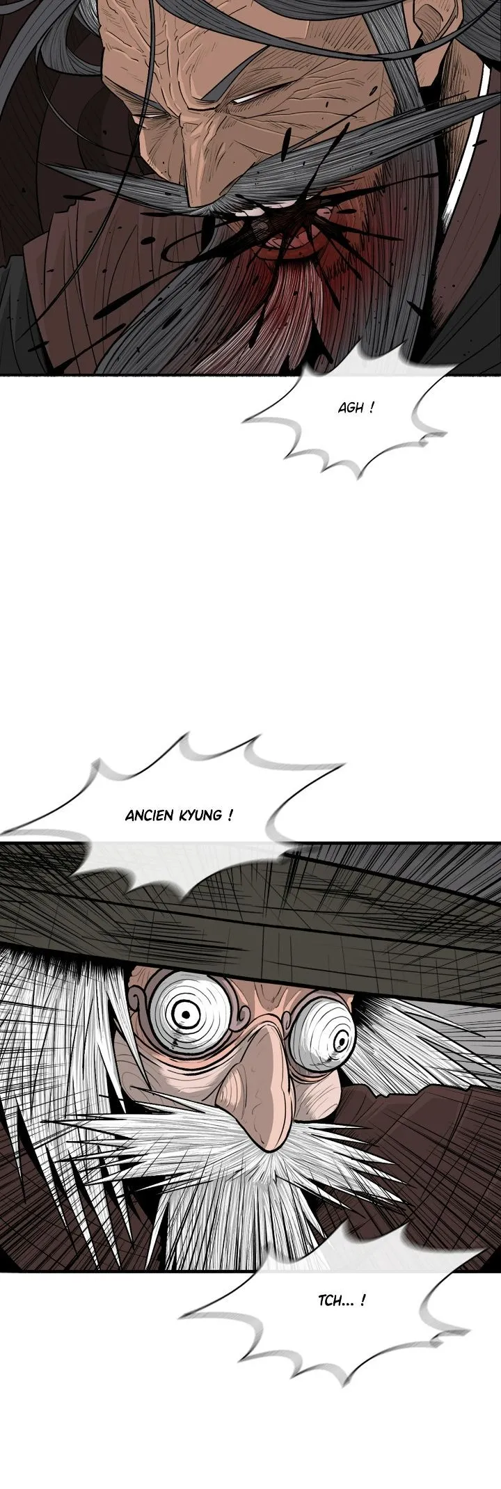 Read Legend of the Northern Blade FR Manga Online