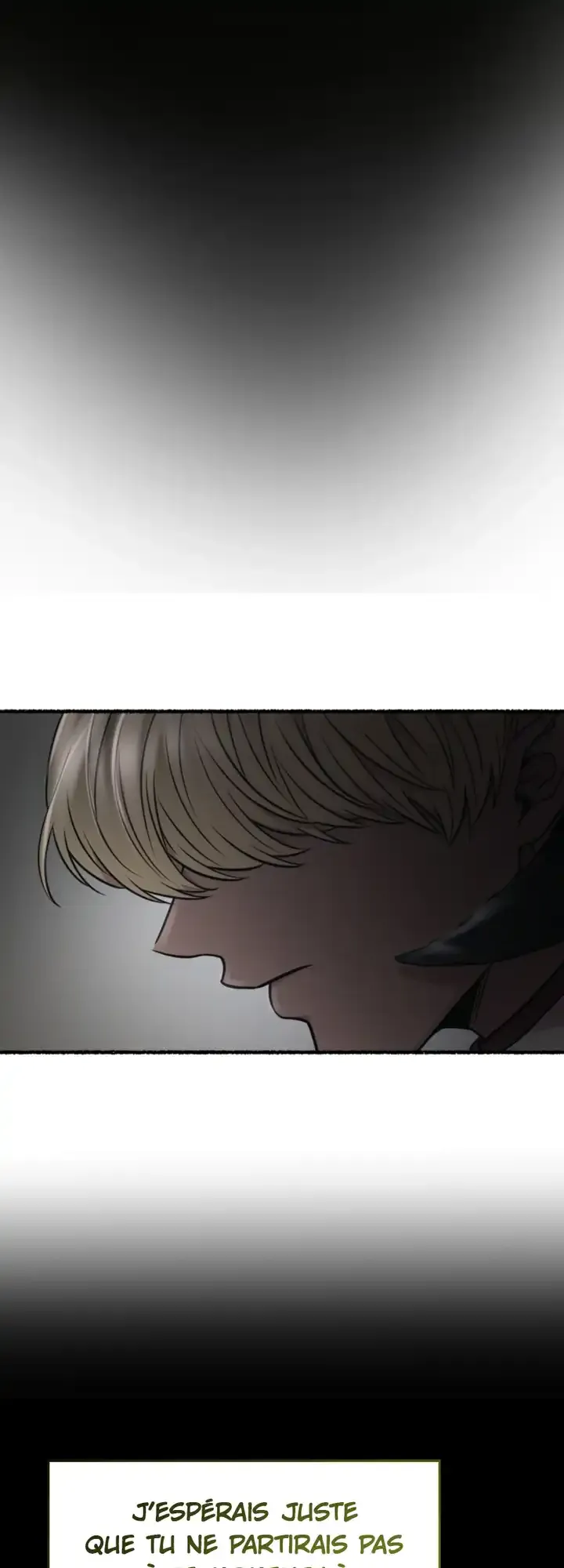 Read Like Wind On A Dry Branch FR Manga Online