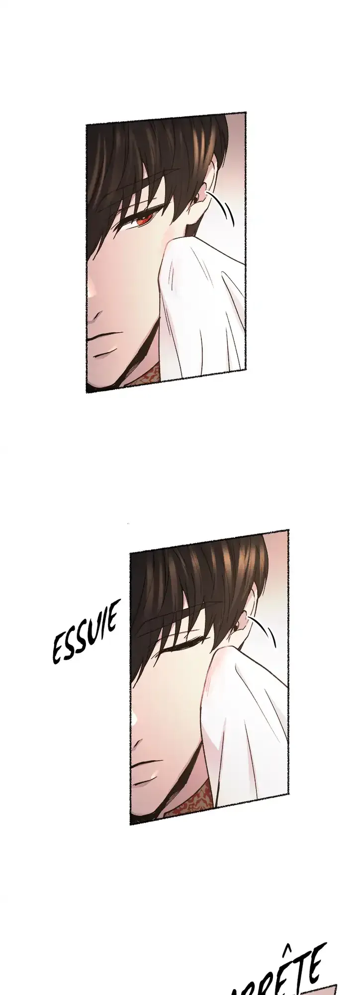 Read Like Wind On A Dry Branch FR Manga Online